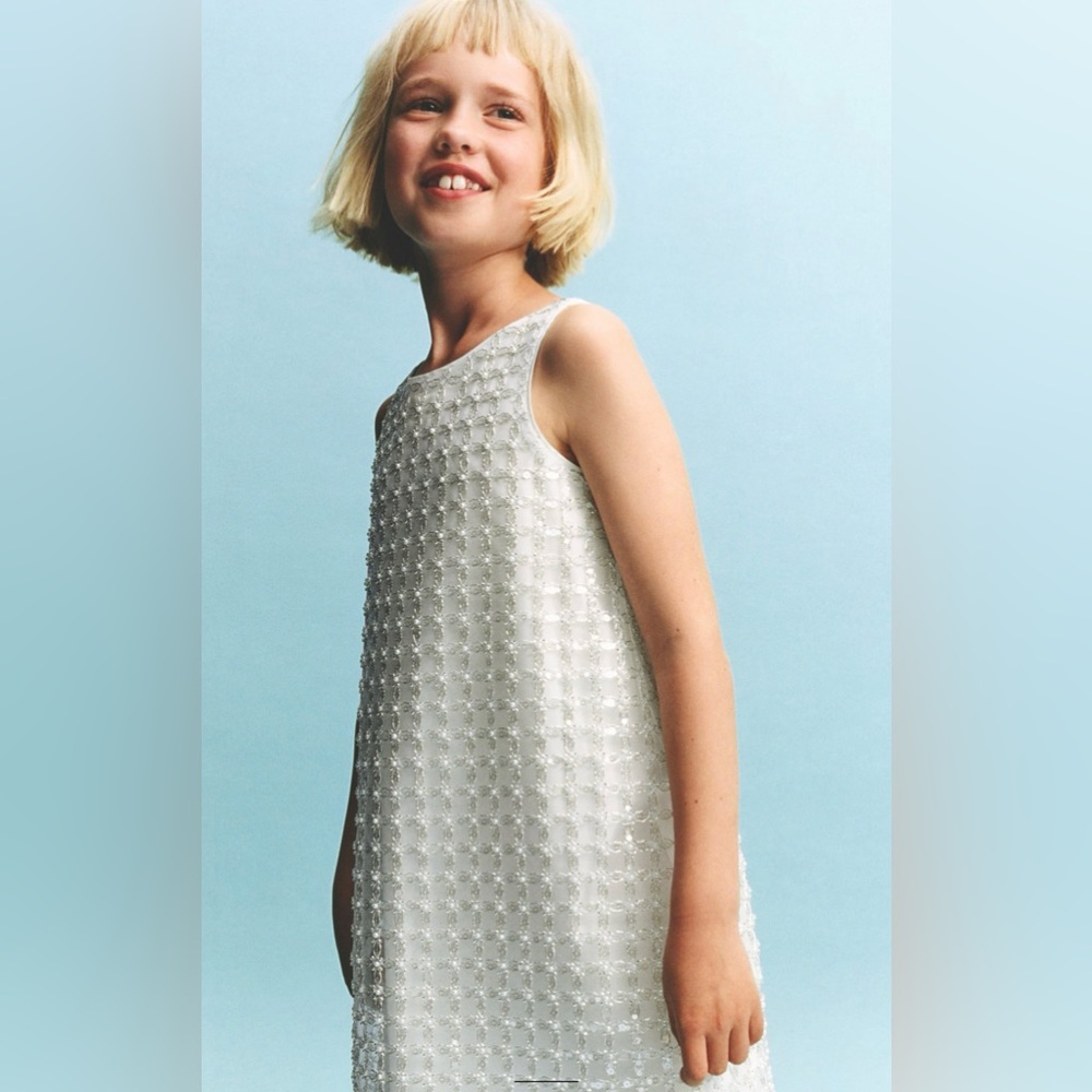 Zara metallic mesh sleeveless dress size 11-12Y NWT
